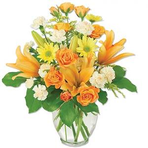 Envio y venta de flores ,rosas, plantas,arreglos florales ,regalos y desayunos a domicilio con delivery gratis en la Ciudad Autonoma de Buenos Aires y con costo de env�o en localidades del Gran Buenos Aires asi como delivery de flores y plantas a trav�s de florerias asociadas en todas las provincias de la Argentina, Buenos Aires, la Pampa, Tucuman, La Rioja, R�o Negro, Entre Rios, Corrientes, Misiones, Neuquen, Chubut, Tierra del Fuego, Santa Cruz, San Luis, Mendoza, Cordoba, Jujuy, Formosa, Santiago del Estero, Salta, Chaco, Catamarca ,San Juan, y ademas realizamos el delivery de flores ,coronas,palmas , plantas y regalos a todas las ciudades de Argentina, Mar del Plata, C�rdoba, Buenos Aires, con cargo en Santa Rosa, La Plata, Bella Vista, Neuquen, Pilar, Paran�, Posadas, Resistencia, Cipolleti y mas de 300 ciudades y localidades en todo el territorio de nuestro pa�s, asi como tambien tenemos la posibilidad de enviar flores a casi todo el mundo en cuestion de horas