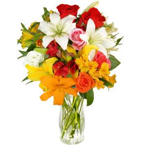 Envio y venta de flores ,rosas, plantas,arreglos florales ,regalos y desayunos a domicilio con delivery gratis en la Ciudad Autonoma de Buenos Aires y con costo de env�o en localidades del Gran Buenos Aires asi como delivery de flores y plantas a trav�s de florerias asociadas en todas las provincias de la Argentina, Buenos Aires, la Pampa, Tucuman, La Rioja, R�o Negro, Entre Rios, Corrientes, Misiones, Neuquen, Chubut, Tierra del Fuego, Santa Cruz, San Luis, Mendoza, Cordoba, Jujuy, Formosa, Santiago del Estero, Salta, Chaco, Catamarca ,San Juan, y ademas realizamos el delivery de flores ,coronas,palmas , plantas y regalos a todas las ciudades de Argentina, Mar del Plata, C�rdoba, Buenos Aires, con cargo en Santa Rosa, La Plata, Bella Vista, Neuquen, Pilar, Paran�, Posadas, Resistencia, Cipolleti y mas de 300 ciudades y localidades en todo el territorio de nuestro pa�s, asi como tambien tenemos la posibilidad de enviar flores a casi todo el mundo en cuestion de horas