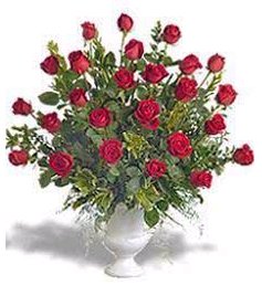 Envio y venta de flores ,rosas, plantas,arreglos florales ,regalos y desayunos a domicilio con delivery gratis en la Ciudad Autonoma de Buenos Aires y con costo de env�o en localidades del Gran Buenos Aires asi como delivery de flores y plantas a trav�s de florerias asociadas en todas las provincias de la Argentina, Buenos Aires, la Pampa, Tucuman, La Rioja, R�o Negro, Entre Rios, Corrientes, Misiones, Neuquen, Chubut, Tierra del Fuego, Santa Cruz, San Luis, Mendoza, Cordoba, Jujuy, Formosa, Santiago del Estero, Salta, Chaco, Catamarca ,San Juan, y ademas realizamos el delivery de flores ,coronas,palmas , plantas y regalos a todas las ciudades de Argentina, Mar del Plata, C�rdoba, Buenos Aires, con cargo en Santa Rosa, La Plata, Bella Vista, Neuquen, Pilar, Paran�, Posadas, Resistencia, Cipolleti y mas de 300 ciudades y localidades en todo el territorio de nuestro pa�s, asi como tambien tenemos la posibilidad de enviar flores a casi todo el mundo en cuestion de horas