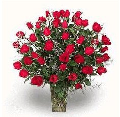 Envio y venta de flores ,rosas, plantas,arreglos florales ,regalos y desayunos a domicilio con delivery gratis en la Ciudad Autonoma de Buenos Aires y con costo de env�o en localidades del Gran Buenos Aires asi como delivery de flores y plantas a trav�s de florerias asociadas en todas las provincias de la Argentina, Buenos Aires, la Pampa, Tucuman, La Rioja, R�o Negro, Entre Rios, Corrientes, Misiones, Neuquen, Chubut, Tierra del Fuego, Santa Cruz, San Luis, Mendoza, Cordoba, Jujuy, Formosa, Santiago del Estero, Salta, Chaco, Catamarca ,San Juan, y ademas realizamos el delivery de flores ,coronas,palmas , plantas y regalos a todas las ciudades de Argentina, Mar del Plata, C�rdoba, Buenos Aires, con cargo en Santa Rosa, La Plata, Bella Vista, Neuquen, Pilar, Paran�, Posadas, Resistencia, Cipolleti y mas de 300 ciudades y localidades en todo el territorio de nuestro pa�s, asi como tambien tenemos la posibilidad de enviar flores a casi todo el mundo en cuestion de horas