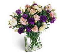 Envio y venta de flores ,rosas, plantas,arreglos florales ,regalos y desayunos a domicilio con delivery gratis en la Ciudad Autonoma de Buenos Aires y con costo de env�o en localidades del Gran Buenos Aires asi como delivery de flores y plantas a trav�s de florerias asociadas en todas las provincias de la Argentina, Buenos Aires, la Pampa, Tucuman, La Rioja, R�o Negro, Entre Rios, Corrientes, Misiones, Neuquen, Chubut, Tierra del Fuego, Santa Cruz, San Luis, Mendoza, Cordoba, Jujuy, Formosa, Santiago del Estero, Salta, Chaco, Catamarca ,San Juan, y ademas realizamos el delivery de flores ,coronas,palmas , plantas y regalos a todas las ciudades de Argentina, Mar del Plata, C�rdoba, Buenos Aires, con cargo en Santa Rosa, La Plata, Bella Vista, Neuquen, Pilar, Paran�, Posadas, Resistencia, Cipolleti y mas de 300 ciudades y localidades en todo el territorio de nuestro pa�s, asi como tambien tenemos la posibilidad de enviar flores a casi todo el mundo en cuestion de horas