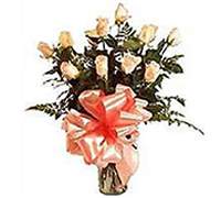 Envio y venta de flores ,rosas, plantas,arreglos florales ,regalos y desayunos a domicilio con delivery gratis en la Ciudad Autonoma de Buenos Aires y con costo de env�o en localidades del Gran Buenos Aires asi como delivery de flores y plantas a trav�s de florerias asociadas en todas las provincias de la Argentina, Buenos Aires, la Pampa, Tucuman, La Rioja, R�o Negro, Entre Rios, Corrientes, Misiones, Neuquen, Chubut, Tierra del Fuego, Santa Cruz, San Luis, Mendoza, Cordoba, Jujuy, Formosa, Santiago del Estero, Salta, Chaco, Catamarca ,San Juan, y ademas realizamos el delivery de flores ,coronas,palmas , plantas y regalos a todas las ciudades de Argentina, Mar del Plata, C�rdoba, Buenos Aires, con cargo en Santa Rosa, La Plata, Bella Vista, Neuquen, Pilar, Paran�, Posadas, Resistencia, Cipolleti y mas de 300 ciudades y localidades en todo el territorio de nuestro pa�s, asi como tambien tenemos la posibilidad de enviar flores a casi todo el mundo en cuestion de horas