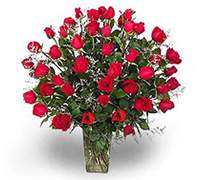 Envio y venta de flores ,rosas, plantas,arreglos florales ,regalos y desayunos a domicilio con delivery gratis en la Ciudad Autonoma de Buenos Aires y con costo de env�o en localidades del Gran Buenos Aires asi como delivery de flores y plantas a trav�s de florerias asociadas en todas las provincias de la Argentina, Buenos Aires, la Pampa, Tucuman, La Rioja, R�o Negro, Entre Rios, Corrientes, Misiones, Neuquen, Chubut, Tierra del Fuego, Santa Cruz, San Luis, Mendoza, Cordoba, Jujuy, Formosa, Santiago del Estero, Salta, Chaco, Catamarca ,San Juan, y ademas realizamos el delivery de flores ,coronas,palmas , plantas y regalos a todas las ciudades de Argentina, Mar del Plata, C�rdoba, Buenos Aires, con cargo en Santa Rosa, La Plata, Bella Vista, Neuquen, Pilar, Paran�, Posadas, Resistencia, Cipolleti y mas de 300 ciudades y localidades en todo el territorio de nuestro pa�s, asi como tambien tenemos la posibilidad de enviar flores a casi todo el mundo en cuestion de horas