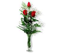 Envio y venta de flores ,rosas, plantas,arreglos florales ,regalos y desayunos a domicilio con delivery gratis en la Ciudad Autonoma de Buenos Aires y con costo de env�o en localidades del Gran Buenos Aires asi como delivery de flores y plantas a trav�s de florerias asociadas en todas las provincias de la Argentina, Buenos Aires, la Pampa, Tucuman, La Rioja, R�o Negro, Entre Rios, Corrientes, Misiones, Neuquen, Chubut, Tierra del Fuego, Santa Cruz, San Luis, Mendoza, Cordoba, Jujuy, Formosa, Santiago del Estero, Salta, Chaco, Catamarca ,San Juan, y ademas realizamos el delivery de flores ,coronas,palmas , plantas y regalos a todas las ciudades de Argentina, Mar del Plata, C�rdoba, Buenos Aires, con cargo en Santa Rosa, La Plata, Bella Vista, Neuquen, Pilar, Paran�, Posadas, Resistencia, Cipolleti y mas de 300 ciudades y localidades en todo el territorio de nuestro pa�s, asi como tambien tenemos la posibilidad de enviar flores a casi todo el mundo en cuestion de horas