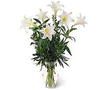 Envio y venta de flores ,rosas, plantas,arreglos florales ,regalos y desayunos a domicilio con delivery gratis en la Ciudad Autonoma de Buenos Aires y con costo de env�o en localidades del Gran Buenos Aires asi como delivery de flores y plantas a trav�s de florerias asociadas en todas las provincias de la Argentina, Buenos Aires, la Pampa, Tucuman, La Rioja, R�o Negro, Entre Rios, Corrientes, Misiones, Neuquen, Chubut, Tierra del Fuego, Santa Cruz, San Luis, Mendoza, Cordoba, Jujuy, Formosa, Santiago del Estero, Salta, Chaco, Catamarca ,San Juan, y ademas realizamos el delivery de flores ,coronas,palmas , plantas y regalos a todas las ciudades de Argentina, Mar del Plata, C�rdoba, Buenos Aires, con cargo en Santa Rosa, La Plata, Bella Vista, Neuquen, Pilar, Paran�, Posadas, Resistencia, Cipolleti y mas de 300 ciudades y localidades en todo el territorio de nuestro pa�s, asi como tambien tenemos la posibilidad de enviar flores a casi todo el mundo en cuestion de horas
