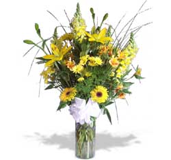 Envio y venta de flores ,rosas, plantas,arreglos florales ,regalos y desayunos a domicilio con delivery gratis en la Ciudad Autonoma de Buenos Aires y con costo de env�o en localidades del Gran Buenos Aires asi como delivery de flores y plantas a trav�s de florerias asociadas en todas las provincias de la Argentina, Buenos Aires, la Pampa, Tucuman, La Rioja, R�o Negro, Entre Rios, Corrientes, Misiones, Neuquen, Chubut, Tierra del Fuego, Santa Cruz, San Luis, Mendoza, Cordoba, Jujuy, Formosa, Santiago del Estero, Salta, Chaco, Catamarca ,San Juan, y ademas realizamos el delivery de flores ,coronas,palmas , plantas y regalos a todas las ciudades de Argentina, Mar del Plata, C�rdoba, Buenos Aires, con cargo en Santa Rosa, La Plata, Bella Vista, Neuquen, Pilar, Paran�, Posadas, Resistencia, Cipolleti y mas de 300 ciudades y localidades en todo el territorio de nuestro pa�s, asi como tambien tenemos la posibilidad de enviar flores a casi todo el mundo en cuestion de horas