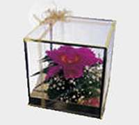 Envio y venta de flores ,rosas, plantas,arreglos florales ,regalos y desayunos a domicilio con delivery gratis en la Ciudad Autonoma de Buenos Aires y con costo de env�o en localidades del Gran Buenos Aires asi como delivery de flores y plantas a trav�s de florerias asociadas en todas las provincias de la Argentina, Buenos Aires, la Pampa, Tucuman, La Rioja, R�o Negro, Entre Rios, Corrientes, Misiones, Neuquen, Chubut, Tierra del Fuego, Santa Cruz, San Luis, Mendoza, Cordoba, Jujuy, Formosa, Santiago del Estero, Salta, Chaco, Catamarca ,San Juan, y ademas realizamos el delivery de flores ,coronas,palmas , plantas y regalos a todas las ciudades de Argentina, Mar del Plata, C�rdoba, Buenos Aires, con cargo en Santa Rosa, La Plata, Bella Vista, Neuquen, Pilar, Paran�, Posadas, Resistencia, Cipolleti y mas de 300 ciudades y localidades en todo el territorio de nuestro pa�s, asi como tambien tenemos la posibilidad de enviar flores a casi todo el mundo en cuestion de horas