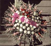 Envio y venta de flores ,rosas, plantas,arreglos florales ,regalos y desayunos a domicilio con delivery gratis en la Ciudad Autonoma de Buenos Aires y con costo de env�o en localidades del Gran Buenos Aires asi como delivery de flores y plantas a trav�s de florerias asociadas en todas las provincias de la Argentina, Buenos Aires, la Pampa, Tucuman, La Rioja, R�o Negro, Entre Rios, Corrientes, Misiones, Neuquen, Chubut, Tierra del Fuego, Santa Cruz, San Luis, Mendoza, Cordoba, Jujuy, Formosa, Santiago del Estero, Salta, Chaco, Catamarca ,San Juan, y ademas realizamos el delivery de flores ,coronas,palmas , plantas y regalos a todas las ciudades de Argentina, Mar del Plata, C�rdoba, Buenos Aires, con cargo en Santa Rosa, La Plata, Bella Vista, Neuquen, Pilar, Paran�, Posadas, Resistencia, Cipolleti y mas de 300 ciudades y localidades en todo el territorio de nuestro pa�s, asi como tambien tenemos la posibilidad de enviar flores a casi todo el mundo en cuestion de horas