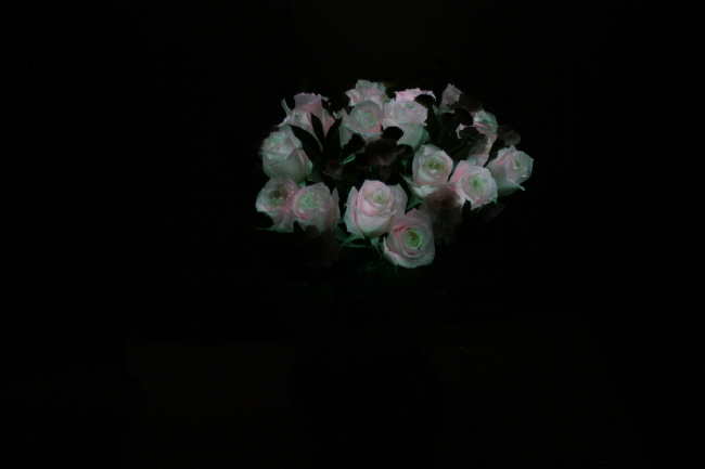 Envio y venta de flores ,rosas, plantas,arreglos florales ,regalos y desayunos a domicilio con delivery gratis en la Ciudad Autonoma de Buenos Aires y con costo de env�o en localidades del Gran Buenos Aires asi como delivery de flores y plantas a trav�s de florerias asociadas en todas las provincias de la Argentina, Buenos Aires, la Pampa, Tucuman, La Rioja, R�o Negro, Entre Rios, Corrientes, Misiones, Neuquen, Chubut, Tierra del Fuego, Santa Cruz, San Luis, Mendoza, Cordoba, Jujuy, Formosa, Santiago del Estero, Salta, Chaco, Catamarca ,San Juan, y ademas realizamos el delivery de flores ,coronas,palmas , plantas y regalos a todas las ciudades de Argentina, Mar del Plata, C�rdoba, Buenos Aires, con cargo en Santa Rosa, La Plata, Bella Vista, Neuquen, Pilar, Paran�, Posadas, Resistencia, Cipolleti y mas de 300 ciudades y localidades en todo el territorio de nuestro pa�s, asi como tambien tenemos la posibilidad de enviar flores a casi todo el mundo en cuestion de horas
