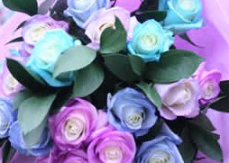 Envio y venta de flores ,rosas, plantas,arreglos florales ,regalos y desayunos a domicilio con delivery gratis en la Ciudad Autonoma de Buenos Aires y con costo de env�o en localidades del Gran Buenos Aires asi como delivery de flores y plantas a trav�s de florerias asociadas en todas las provincias de la Argentina, Buenos Aires, la Pampa, Tucuman, La Rioja, R�o Negro, Entre Rios, Corrientes, Misiones, Neuquen, Chubut, Tierra del Fuego, Santa Cruz, San Luis, Mendoza, Cordoba, Jujuy, Formosa, Santiago del Estero, Salta, Chaco, Catamarca ,San Juan, y ademas realizamos el delivery de flores ,coronas,palmas , plantas y regalos a todas las ciudades de Argentina, Mar del Plata, C�rdoba, Buenos Aires, con cargo en Santa Rosa, La Plata, Bella Vista, Neuquen, Pilar, Paran�, Posadas, Resistencia, Cipolleti y mas de 300 ciudades y localidades en todo el territorio de nuestro pa�s, asi como tambien tenemos la posibilidad de enviar flores a casi todo el mundo en cuestion de horas