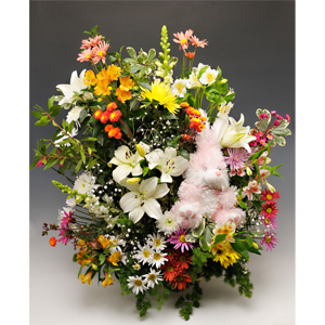Envio y venta de flores ,rosas, plantas,arreglos florales ,regalos y desayunos a domicilio con delivery gratis en la Ciudad Autonoma de Buenos Aires y con costo de env�o en localidades del Gran Buenos Aires asi como delivery de flores y plantas a trav�s de florerias asociadas en todas las provincias de la Argentina, Buenos Aires, la Pampa, Tucuman, La Rioja, R�o Negro, Entre Rios, Corrientes, Misiones, Neuquen, Chubut, Tierra del Fuego, Santa Cruz, San Luis, Mendoza, Cordoba, Jujuy, Formosa, Santiago del Estero, Salta, Chaco, Catamarca ,San Juan, y ademas realizamos el delivery de flores ,coronas,palmas , plantas y regalos a todas las ciudades de Argentina, Mar del Plata, C�rdoba, Buenos Aires, con cargo en Santa Rosa, La Plata, Bella Vista, Neuquen, Pilar, Paran�, Posadas, Resistencia, Cipolleti y mas de 300 ciudades y localidades en todo el territorio de nuestro pa�s, asi como tambien tenemos la posibilidad de enviar flores a casi todo el mundo en cuestion de horas