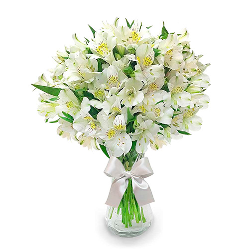 Envio y venta de flores ,rosas, plantas,arreglos florales ,regalos y desayunos a domicilio con delivery gratis en la Ciudad Autonoma de Buenos Aires y con costo de envo en localidades del Gran Buenos Aires asi como delivery de flores y plantas a travs de florerias asociadas en todas las provincias de la Argentina, Buenos Aires, la Pampa, Tucuman, La Rioja, Ro Negro, Entre Rios, Corrientes, Misiones, Neuquen, Chubut, Tierra del Fuego, Santa Cruz, San Luis, Mendoza, Cordoba, Jujuy, Formosa, Santiago del Estero, Salta, Chaco, Catamarca ,San Juan, y ademas realizamos el delivery de flores ,coronas,palmas , plantas y regalos a todas las ciudades de Argentina, Mar del Plata, Crdoba, Buenos Aires, con cargo en Santa Rosa, La Plata, Bella Vista, Neuquen, Pilar, Paran, Posadas, Resistencia, Cipolleti y mas de 300 ciudades y localidades en todo el territorio de nuestro pas, asi como tambien tenemos la posibilidad de enviar flores a casi todo el mundo en cuestion de horas