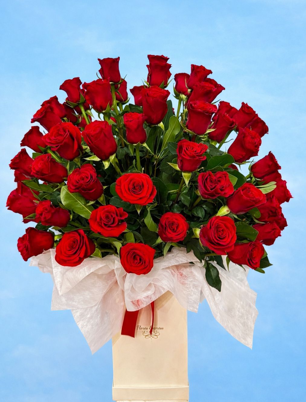 Envio y venta de flores ,rosas, plantas,arreglos florales ,regalos y desayunos a domicilio con delivery gratis en la Ciudad Autonoma de Buenos Aires y con costo de env�o en localidades del Gran Buenos Aires asi como delivery de flores y plantas a trav�s de florerias asociadas en todas las provincias de la Argentina, Buenos Aires, la Pampa, Tucuman, La Rioja, R�o Negro, Entre Rios, Corrientes, Misiones, Neuquen, Chubut, Tierra del Fuego, Santa Cruz, San Luis, Mendoza, Cordoba, Jujuy, Formosa, Santiago del Estero, Salta, Chaco, Catamarca ,San Juan, y ademas realizamos el delivery de flores ,coronas,palmas , plantas y regalos a todas las ciudades de Argentina, Mar del Plata, C�rdoba, Buenos Aires, con cargo en Santa Rosa, La Plata, Bella Vista, Neuquen, Pilar, Paran�, Posadas, Resistencia, Cipolleti y mas de 300 ciudades y localidades en todo el territorio de nuestro pa�s, asi como tambien tenemos la posibilidad de enviar flores a casi todo el mundo en cuestion de horas